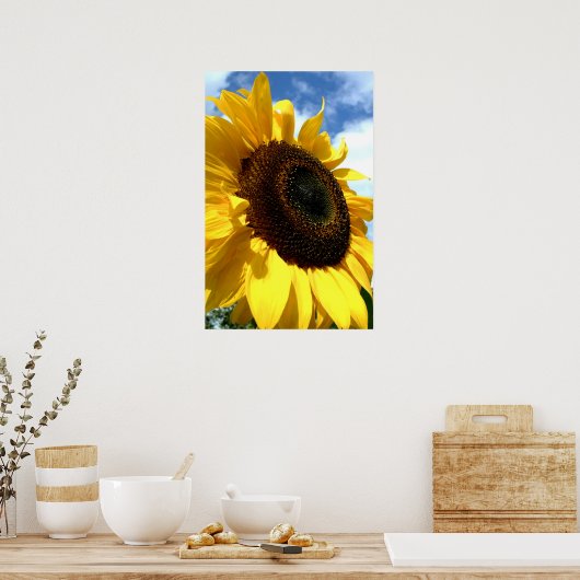 Zonnebloempitten op tdgalerij poster (Keuken)