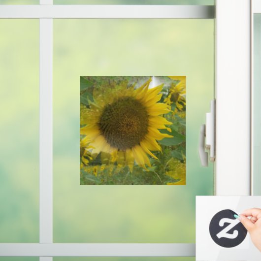 Zonnebloempitten Raamsticker (Huis)