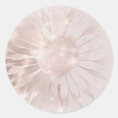 zonnebloempitten ronde sticker (Voorkant)