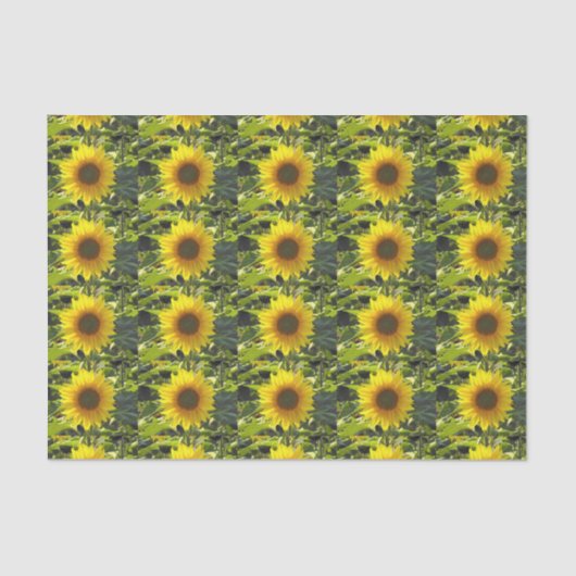 Zonnebloempitten Tissuepapier (Voorkant)