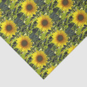 Zonnebloempitten Tissuepapier (Detail)