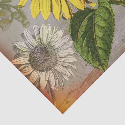  zonnebloempitten tissuepapier (Detail)