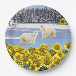 Zonnebloempitten van Beer, Bord
