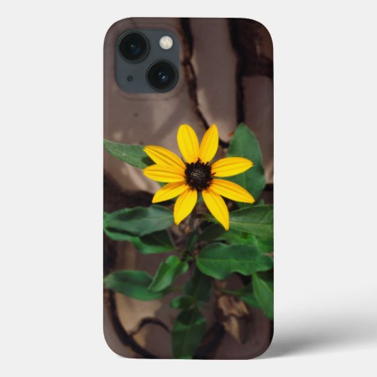 Zonnebloempitten van gekrukte modder Case-Mate iPhone case (Achterkant)
