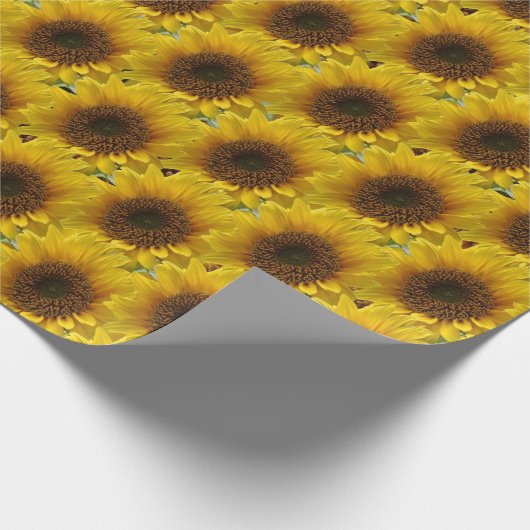 Zonnebloempitten, van matte cadeaupapier (Hoek)