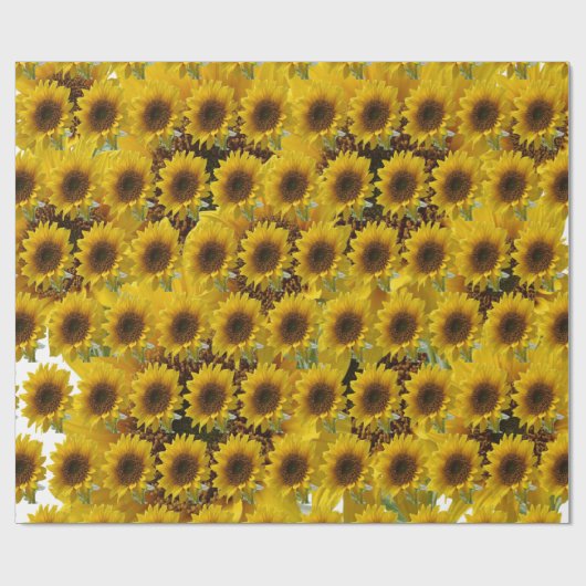 Zonnebloempitten, van matte cadeaupapier (Vlak)