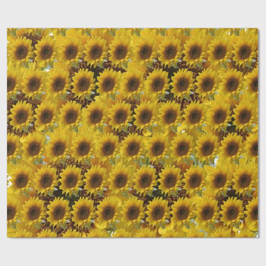 Zonnebloempitten, van matte cadeaupapier (Vlak)