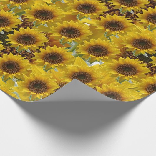 Zonnebloempitten, van matte cadeaupapier (Hoek)