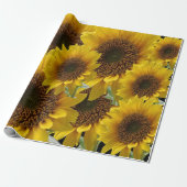 Zonnebloempitten, van matte cadeaupapier (Uitgerold)