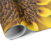 Zonnebloempitten, van matte cadeaupapier (Rol Hoek)