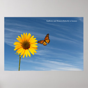 Zonnebloempitten voor Poster