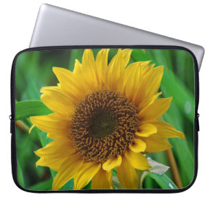 Zonnebloempitten voor Sleeve