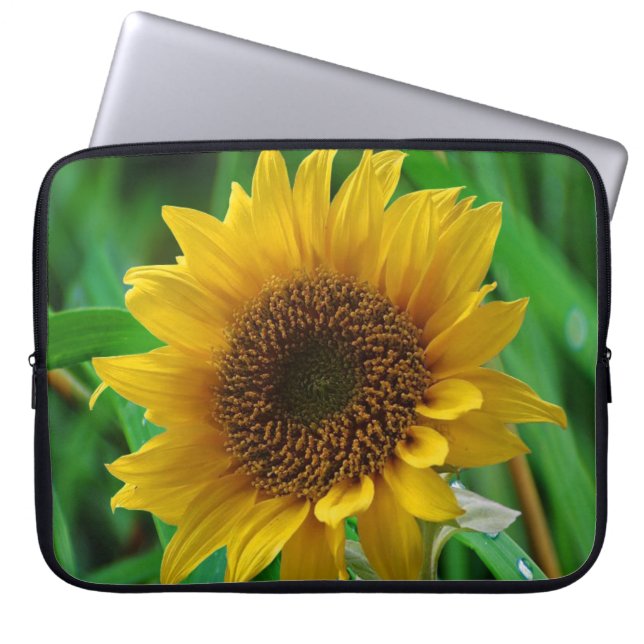 Zonnebloempitten voor Sleeve (Voorkant)