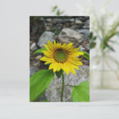 zonnebloempitten wenskaart kaart (Staand voorkant)
