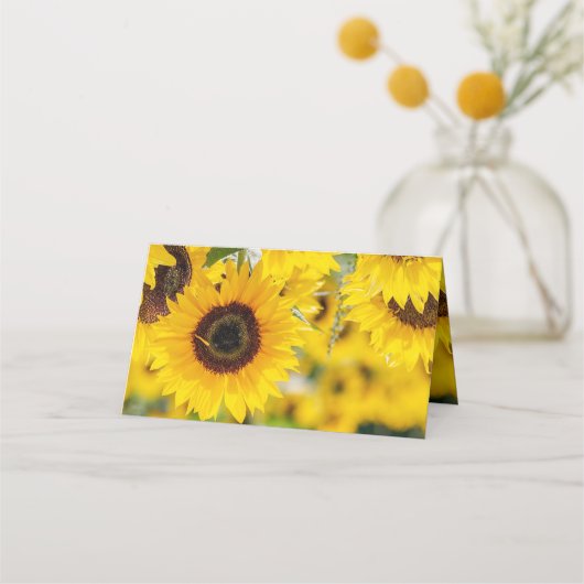 Zonnebloemplaatje Plaatskaartje (Achterkant)