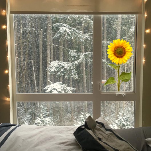 Zonnebloemplade Raamsticker