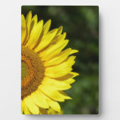 Zonnebloemplaque Fotoplaat (voorkant)