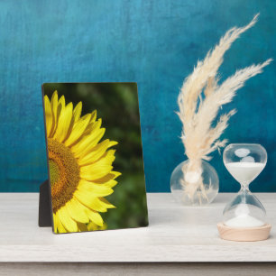 Zonnebloemplaque Fotoplaat