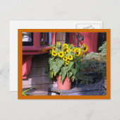 Zonnebloempotbriefkaart Briefkaart (Voorkant / Achterkant)