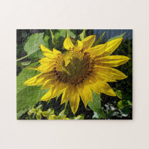 Zonnebloempuzzel Legpuzzel