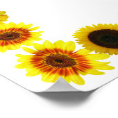 Zonnebloemrand/Lijst zonder achtergrond Poster (Hoek)