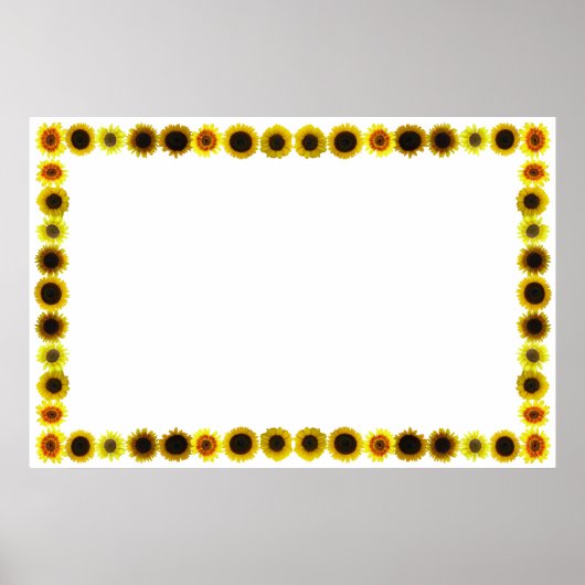 Zonnebloemrand/Lijst zonder achtergrond Poster (Voorkant)