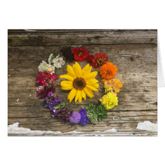 Zonnebloemregenboogkaart