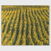 Zonnebloemrijen Cadeaupapier (Vlak)