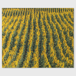 Zonnebloemrijen Cadeaupapier