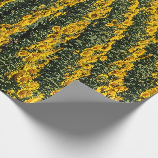 Zonnebloemrijen Cadeaupapier (Hoek)