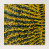 Zonnebloemrijen Legpuzzel (Horizontaal)