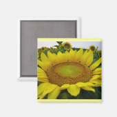 Zonnebloemserie Magneet (Voorkant / Achterkant)