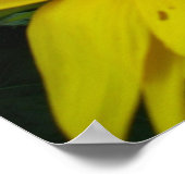 Zonnebloemserie Poster (Hoek)