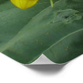 Zonnebloemserie Poster (Hoek)