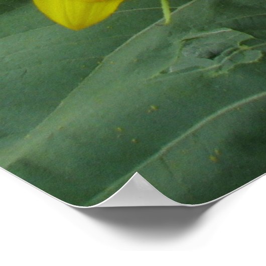 Zonnebloemserie Poster (Hoek)