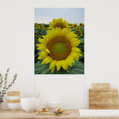 Zonnebloemserie Poster (Keuken)