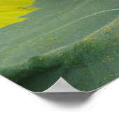 Zonnebloemserie Poster (Hoek)