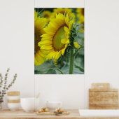 Zonnebloemserie Poster (Keuken)