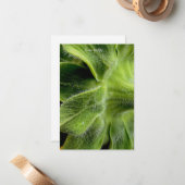 Zonnebloemstengel haren omhoog-close notitiekaartje (Voorkant / Achterkant in situ)