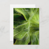 Zonnebloemstengel haren omhoog-close notitiekaartje (Voorkant / Achterkant)