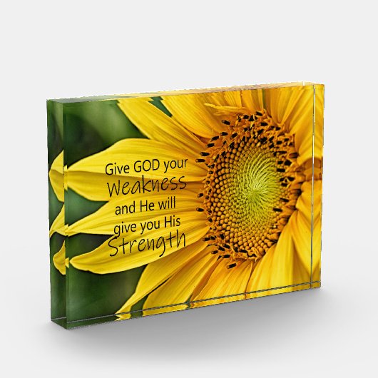 Zonnebloemsterkte Fotoblokken (Links)