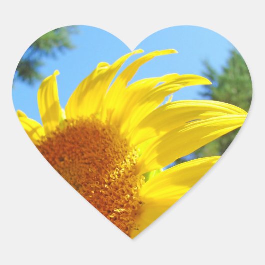 Zonnebloemstickers Uitnodiging Zegels Hartvorm (Voorkant)