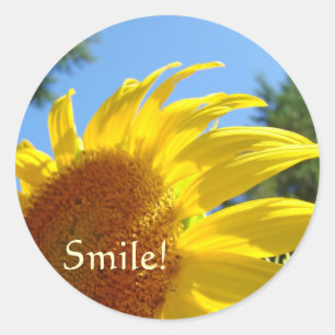 Zonnebloemstickers Zonnebloemen Glimlachstickers Ronde Sticker