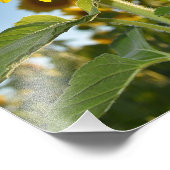 Zonnebloemstijl Foto Afdruk (Hoek)