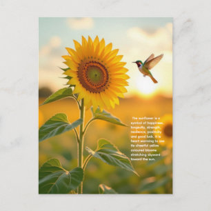 Zonnebloemsymboliek Briefkaart