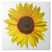 Zonnebloemtegel Tegeltje (Voorkant)