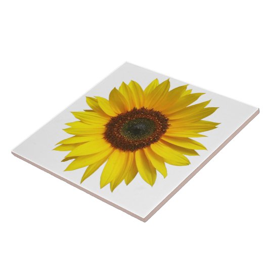 Zonnebloemtegel Tegeltje (Zijkant)