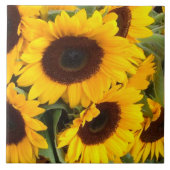 Zonnebloemtegel Tegeltje (Voorkant)