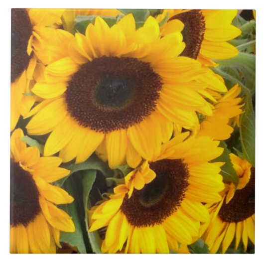 Zonnebloemtegel Tegeltje (Voorkant)