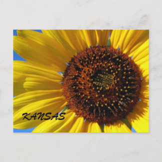 ZONNEBLOEMTOESTAND BRIEFKAART